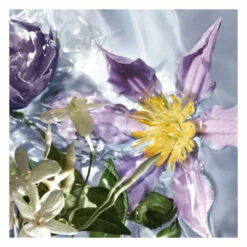 Guerlain Aqua Allegoria Flora Salvaggia Eau De Toilette Spray 4 Guerlain Aqua Allegoria Flora Salvaggia Eau De Toilette Spray -Geselecteerde Mode-Cosmeticawinkels 1042584 3