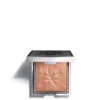 Sisley Highlighter Blush Lu0027Orchidee 01 2 Sisley Highlighter Blush Lu0027Orchidee 01 -Geselecteerde Mode-Cosmeticawinkels 1072647