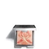 Sisley Highlighter Blush Lu0027Orchidee 03 -Geselecteerde Mode-Cosmeticawinkels 1072648