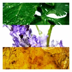 Davidoff Cool Water Eau De Toilette Spray -Geselecteerde Mode-Cosmeticawinkels 426021 4